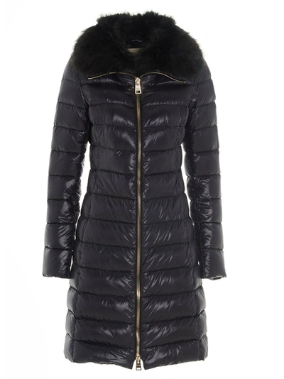 Shop Herno Elisa Fur Trimmed Padded Coat In Black