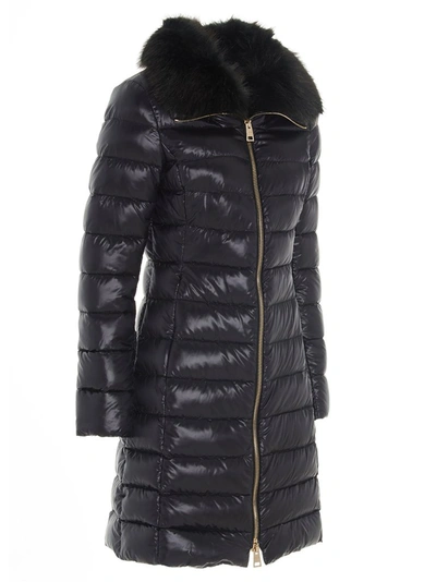 Shop Herno Elisa Fur Trimmed Padded Coat In Black