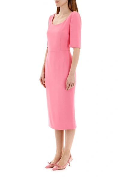 Shop Dolce & Gabbana Fitted Midi Dress In Pink