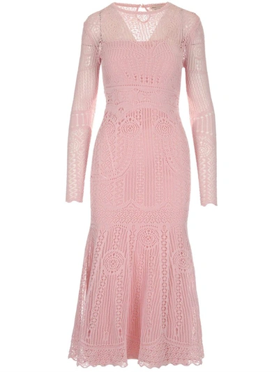 Shop Alexander Mcqueen Lace In Pink