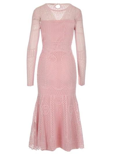 Shop Alexander Mcqueen Lace In Pink