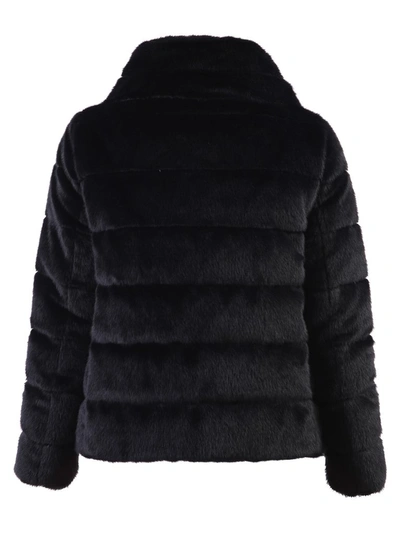 Shop Herno Padded Puffer Jacket In Black