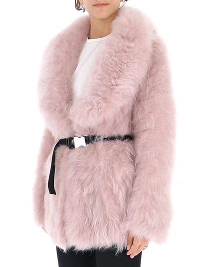 Shop Prada Belted Fur Coat In Pink