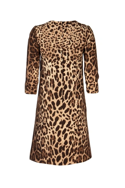 Shop Dolce & Gabbana Leopard Print Dress In Multi