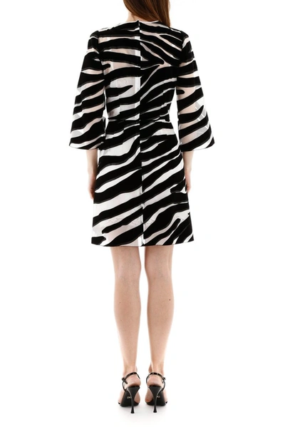 Shop Dolce & Gabbana Zebra Print Sheer Mini Dress In Multi