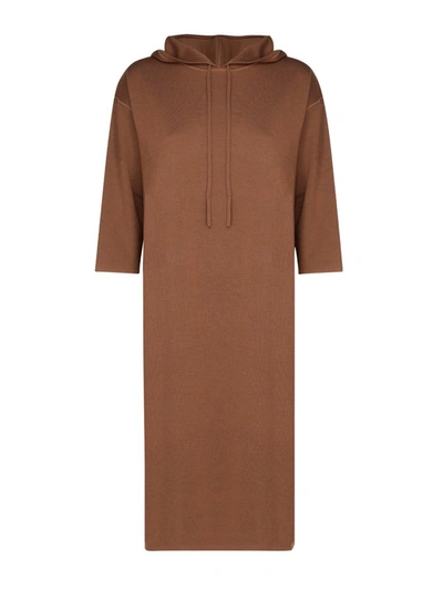 Shop Max Mara Midi Hoodie Dress In Brown