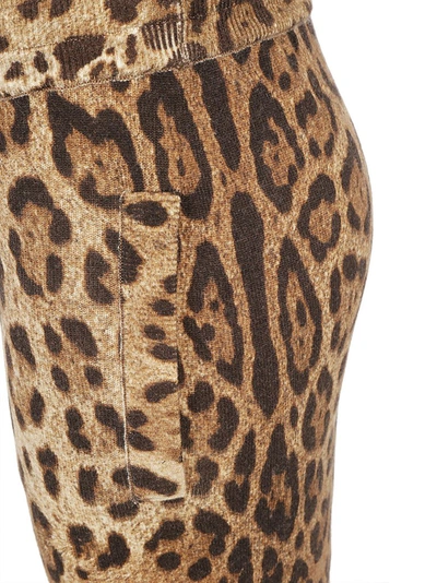 Shop Dolce & Gabbana Animalier Printed Track Pants In Multi