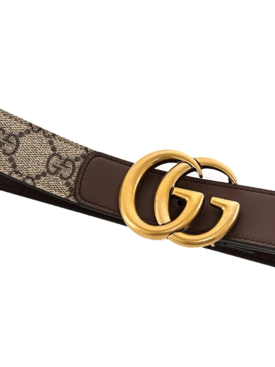 Shop Gucci Gg Buckle Belt In Brown