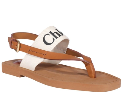 Shop Chloé Woody Logo Thong Sandals In Brown