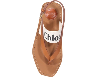 Shop Chloé Woody Logo Thong Sandals In Brown
