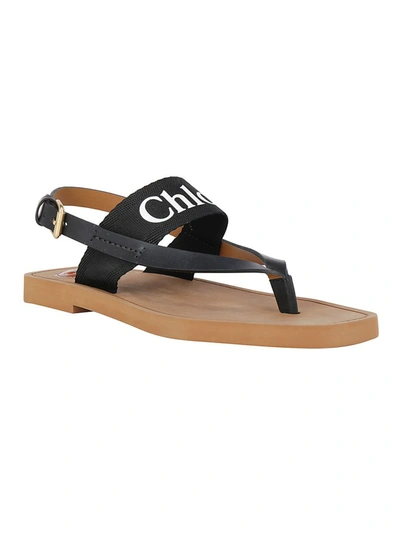 Shop Chloé Woody Logo Thong Sandals In Black
