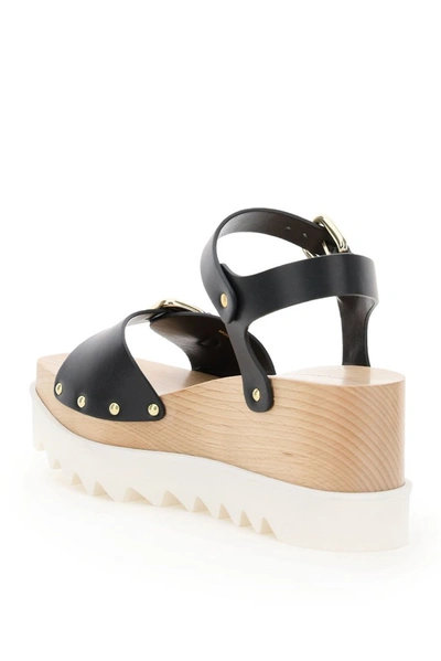 Shop Stella Mccartney Elyse Buckle Detail Platform Sandals In Black