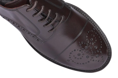 Shop Dolce & Gabbana Brogue Derby Shoes In Brown
