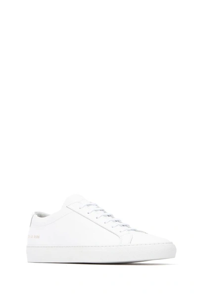 Shop Common Projects Achilles Low Top Sneakers In White