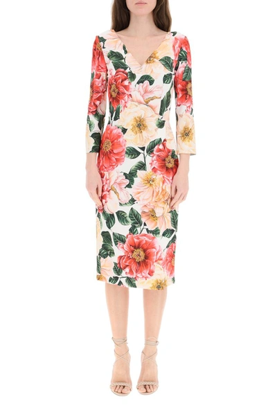 Shop Dolce & Gabbana Camellia Print Midi Dress In Multi