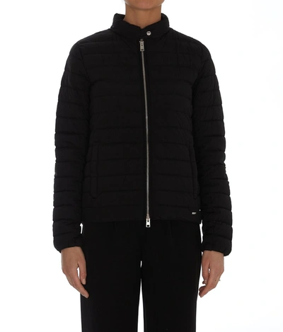 Shop Woolrich Hibiscus Padded Down Jacket In Black