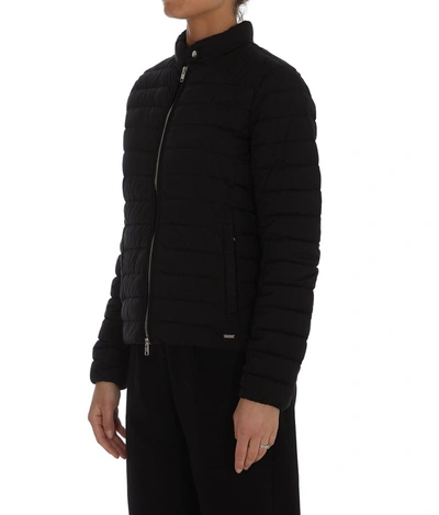 Shop Woolrich Hibiscus Padded Down Jacket In Black