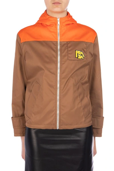 Shop Prada Logo Zipped Jacket In Brown