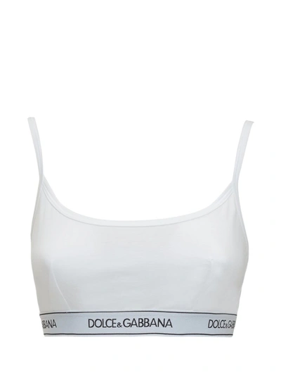 Shop Dolce & Gabbana Logo Intarsia Bra In White