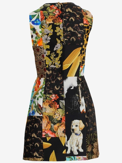 Shop Dolce & Gabbana Floral Printed Mini Dress In Multi