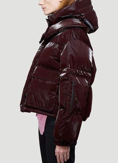 Shop Helmut Lang Hooded Puffer Jacket In Red