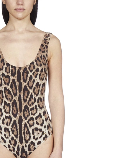 Shop Dolce & Gabbana Leopard Print Swimsuit In Brown