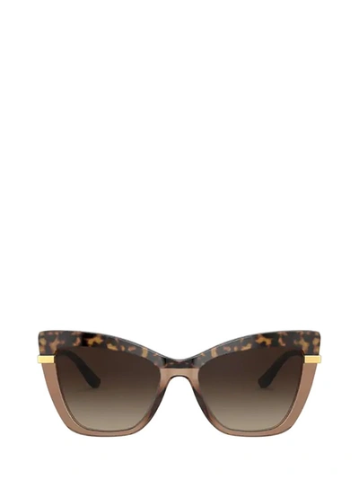 Shop Dolce & Gabbana Eyewear Cat In Brown