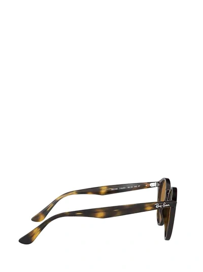 Shop Ray Ban Ray In Multi