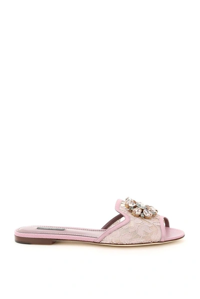 Shop Dolce & Gabbana Bianca Lace Detailed Sandals In Pink