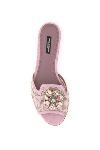 Shop Dolce & Gabbana Bianca Lace Detailed Sandals In Pink