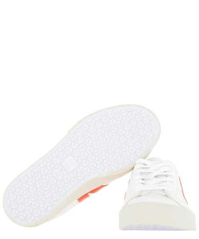 Shop Veja Campo Chromefree Sneakers In White