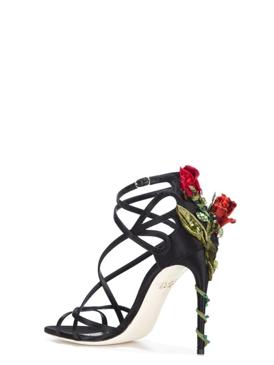 Shop Dolce & Gabbana Keira Sandals In Black