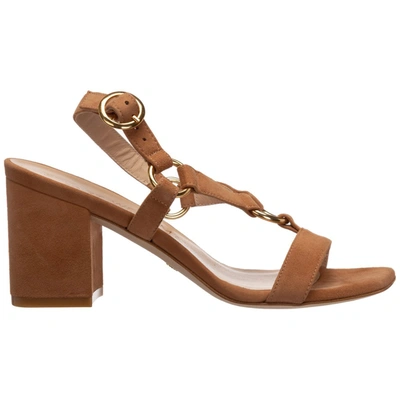 Shop Stuart Weitzman Block Heel Sandals In Brown