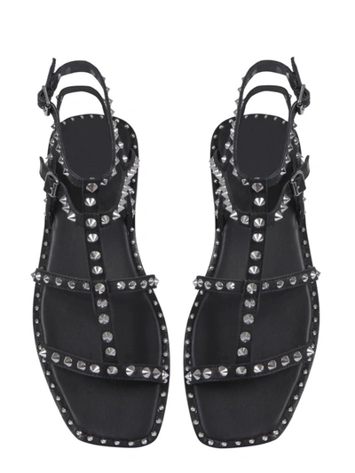 Shop Ash Maeva Studded Sandals In Black