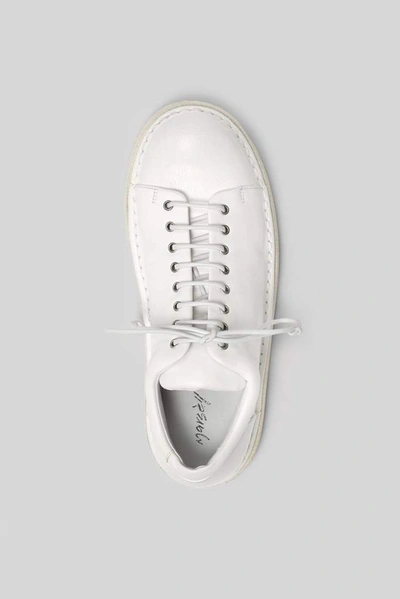 Shop Marsèll Pallottola Derby Shoes In White