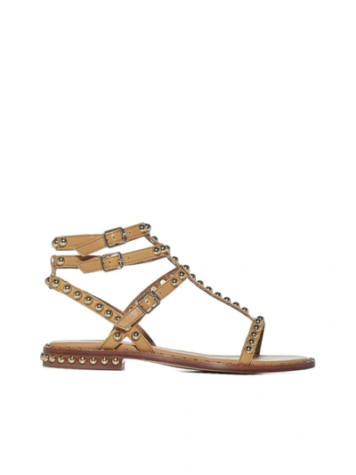 Shop Ash Play Studded Sandals In Beige