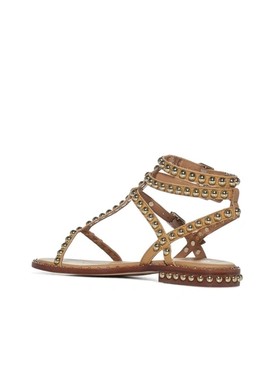 Shop Ash Play Studded Sandals In Beige