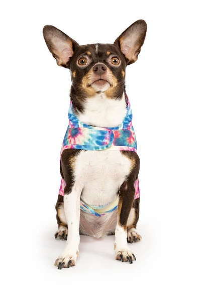 Shop Canada Pooch Pick Me Water Resistant Pet Poncho In Tie Dye