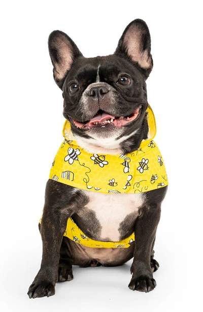 Shop Canada Pooch Pick Me Water Resistant Pet Poncho In Bee