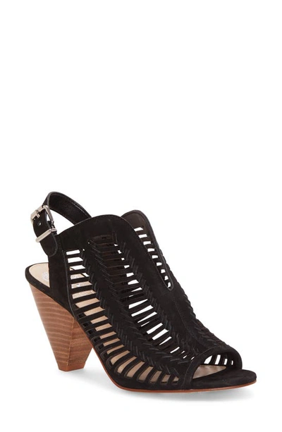Shop Vince Camuto Earinan Sandal In Black Leather