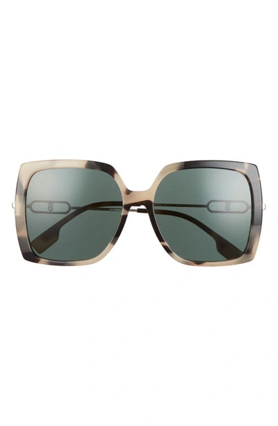 Shop Burberry 57mm Square Sunglasses In Brown/ Green