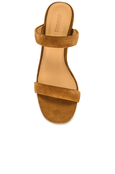 Soludos Ines Heel In Walnut