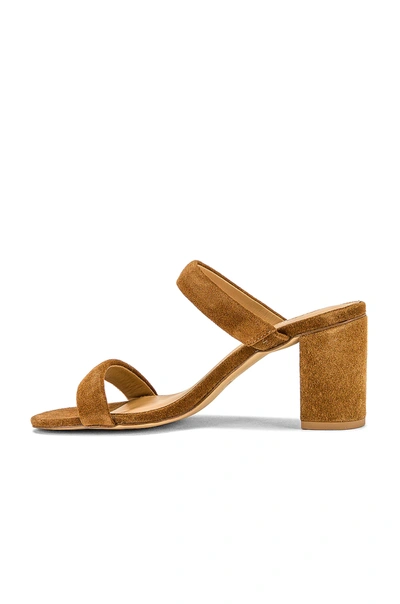 Shop Soludos Ines Heel In Walnut