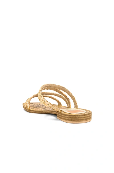 Shop Dolce Vita Izabel Sandal In Light Natural