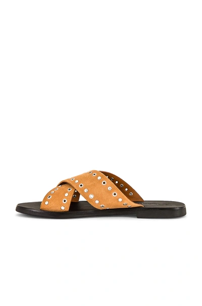 Shop Sol Sana Kimber Slide In Toffee Suede