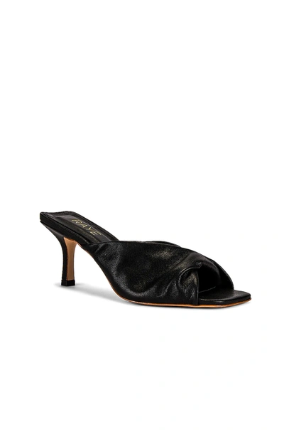 Raye Dane Heel In Black