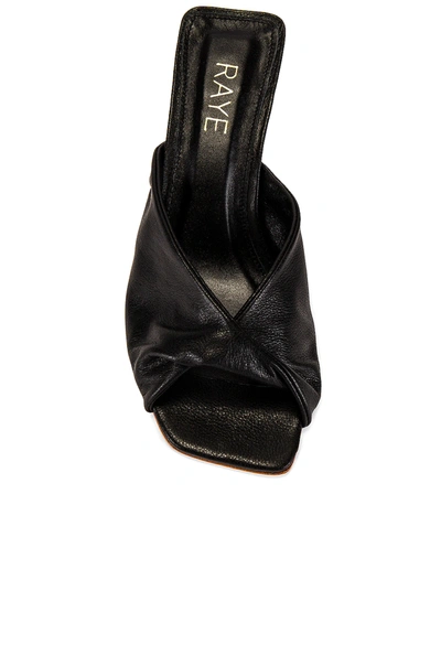 Raye Dane Heel In Black