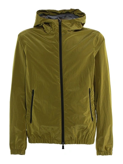 Shop Herno Men's Green Polyamide Outerwear Jacket