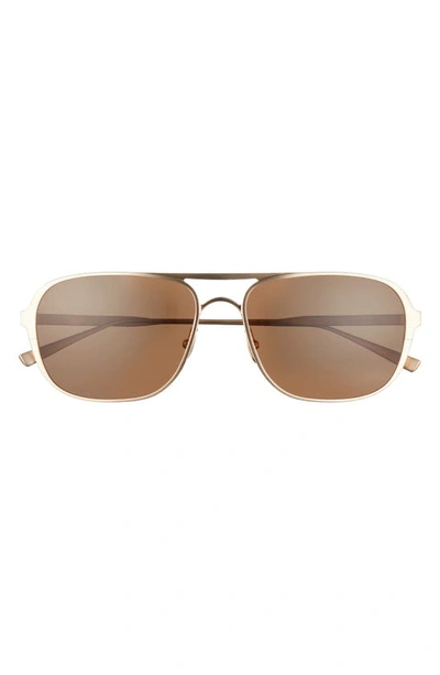 Shop Salt Yeager 60mm Polarized Aviator Sunglasses In Brushed Honey Gold/ Brown