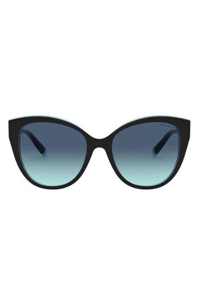 Shop Tiffany & Co 55mm Gradient Cat Eye Sunglasses In Black Blue/ Azure Grad Blue